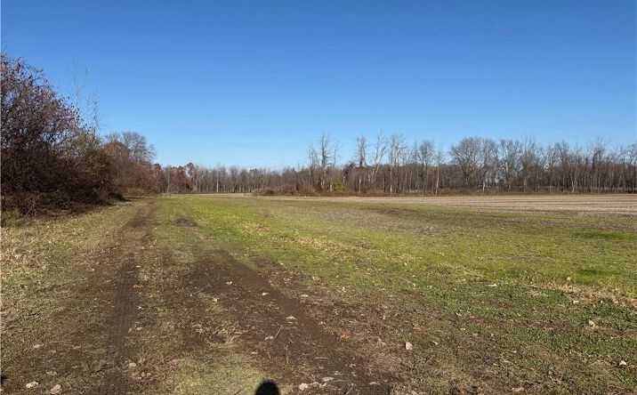 Pictures of Land property located at 0 Lynch Road, Holley, NY 14470 for sales - image #1
