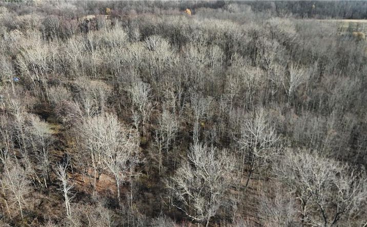 Pictures of Land property located at 0 Lynch Road, Holley, NY 14470 for sales - image #1