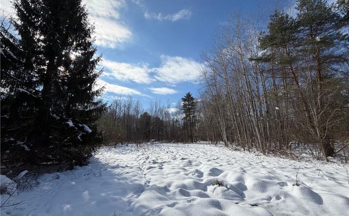 Pictures of Land property located at New Jerusalem Road Evans, Angola, NY 14006 for sales - image #1