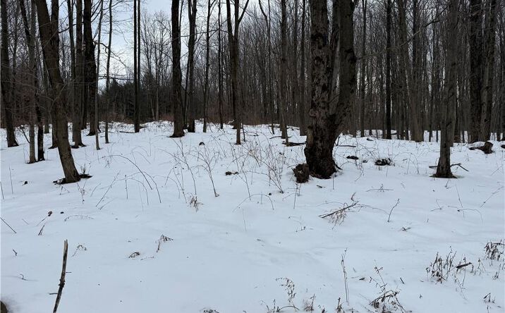 Pictures of Land property located at 16 Deer Pond, Warsaw, NY 14569 for sales - image #1