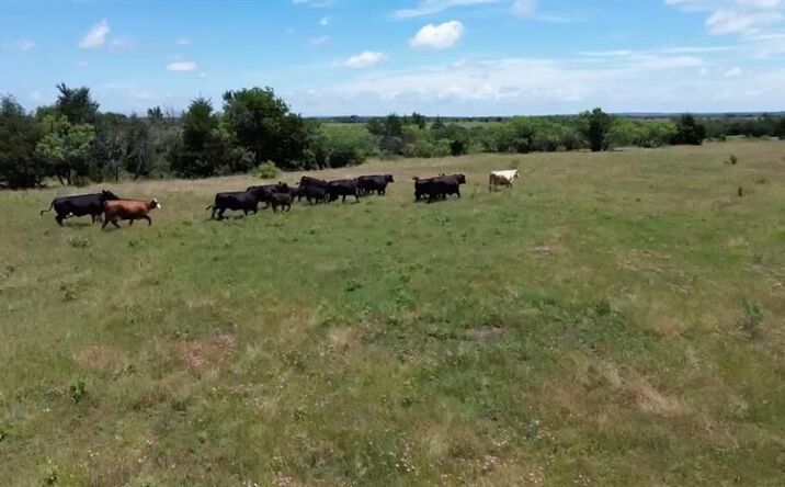 Pictures of Land property located at 7.5 acres Keyes Road, Sherman, TX 75092 for sales - image #1
