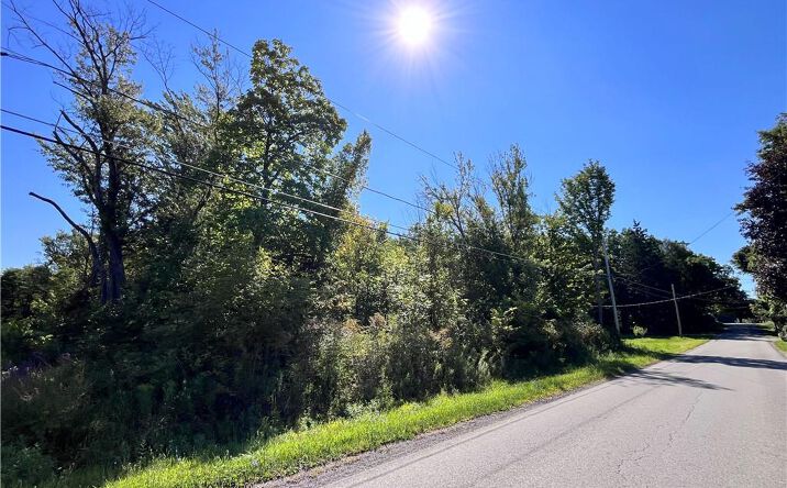 Pictures of Land property located at Highland Avenue Portland, Portland, NY 14769 for sales - image #1