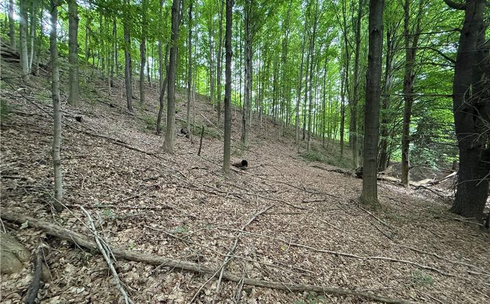 Pictures of Land property located at 0 Hornell Reservoir Road Fremont, Hornell, NY 14843 for sales - image #1