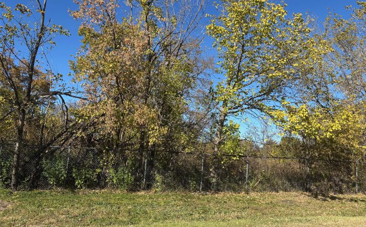 Pictures of Land property located at 13.8 Acres / Tract 6 Winn Road, Southmayd, TX 76268 for sales - image #1