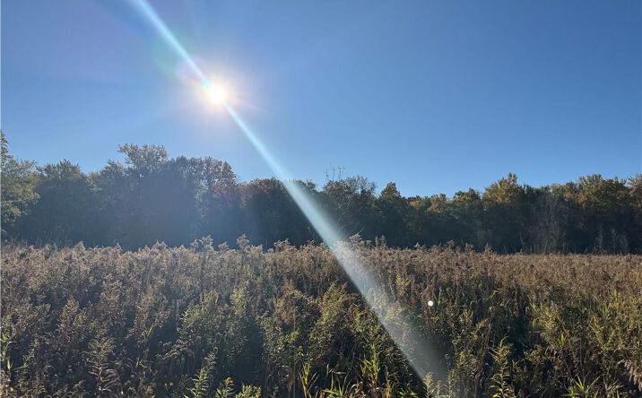 Pictures of Land property located at 150 Coates Rd, Scottsville, NY 14546 for sales - image #1