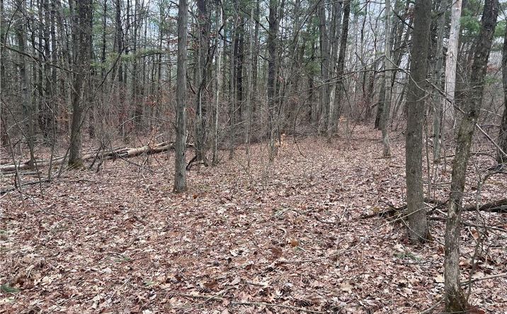 Pictures of Land property located at Address Not Available, Lindley, NY 14858 for sales - image #1