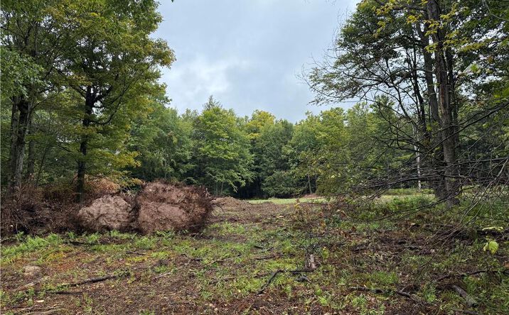 Pictures of Land property located at 0 Alma Hill Road, Alma, NY 14895 for sales - image #1