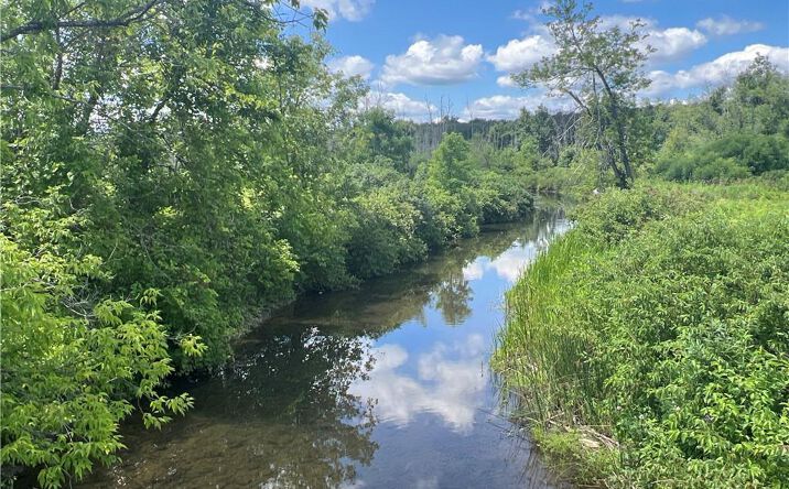 Pictures of Land property located at 0 Myers Road Bradford, Savona, NY 14879 for sales - image #1