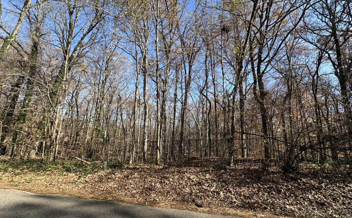 Pictures of Land property located at 580 Rocky Point Rd, Cordova, TN 38018 for sales - image #1