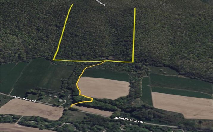 Pictures of Land property located at Bunker Hill Rd, Cold Spring, NY 14772 for sales - image #1
