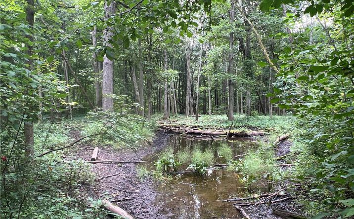 Pictures of Land property located at 2853 Hartland Road, Hartland, NY 14067 for sales - image #1