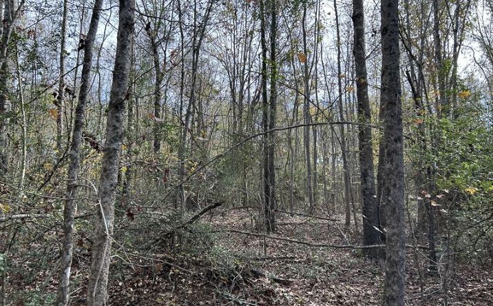 Pictures of Land property located at 1005 Concord Rd, Waskom, TX 75692 for sales - image #1