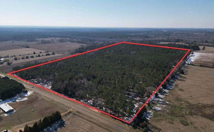 Pictures of Land property located at 000 TBD FM 250, Hughes Springs, Hallsville, TX 75650 for sales - image #1