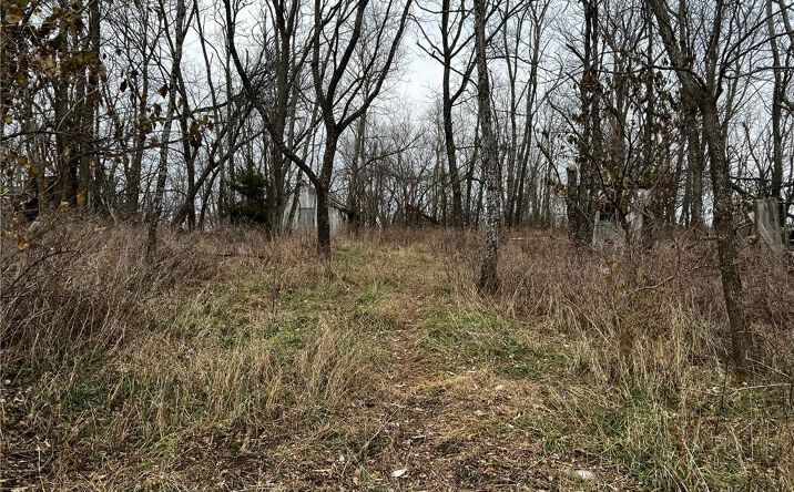 Pictures of Land, Special Purpose property located at TBD J Highway, Albany, MO 64402 for sales - image #1
