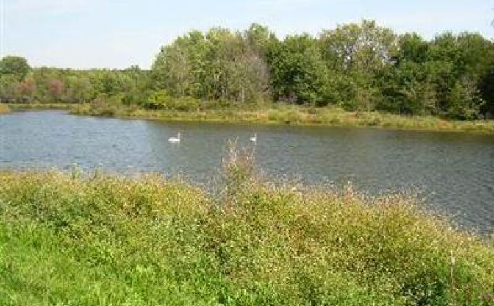Pictures of Land property located at 620 Bean River Road, Pine Plains, NY 12567 for sales - image #1