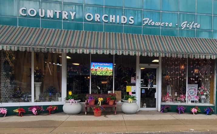 Pictures of Business for Sale, Retail property located at 1019 4th Street, Fulton, IL 61252 for sales - image #1