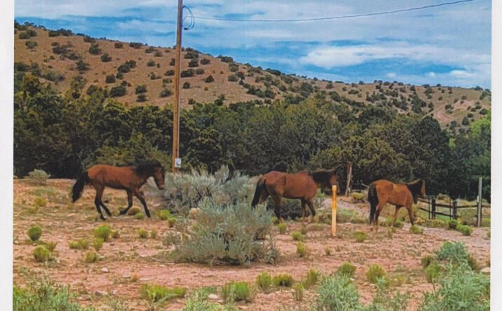 Pictures of Land property located at Deba Jo De Ojo, Placitas, NM 87043 for sales - image #1