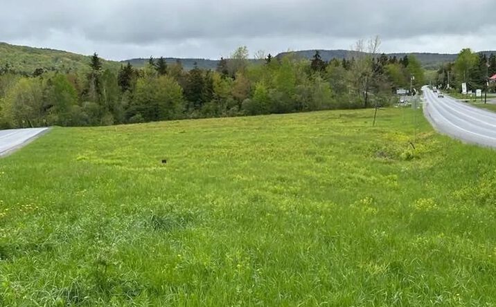 Pictures of Land property located at 309 Vermont Rte 100, Dover, VT 05356 for sales - image #1