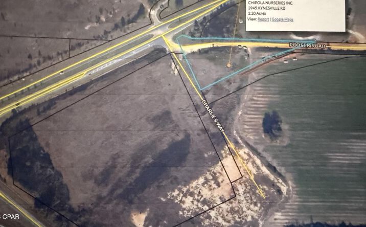 Pictures of Land property located at 3945 Kynesville Road, Marianna, FL 32448 for sales - image #1