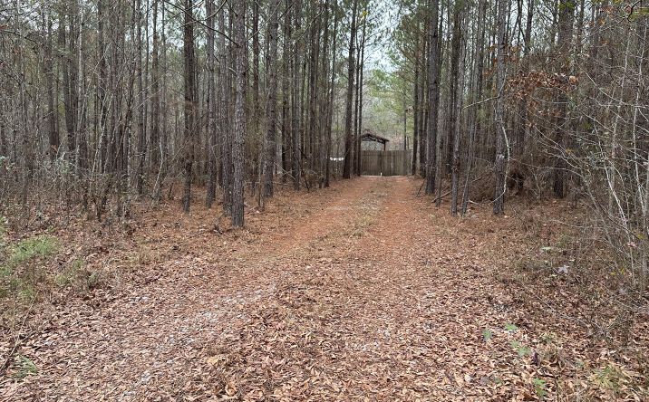 Pictures of Land, Special Purpose property located at Old Chapell Ferry Road, Edgefield, SC 29824 for sales - image #1