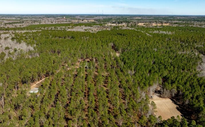 Pictures of Land property located at 1401 Messex Rd, Millen, GA 30442 for sales - image #1