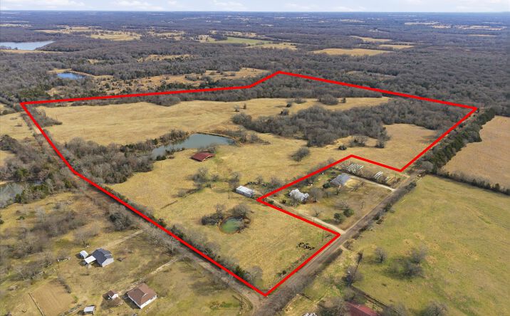 Pictures of Land property located at 742 County Road 1144, Miller Grove,, TX 75472 for sales - image #1