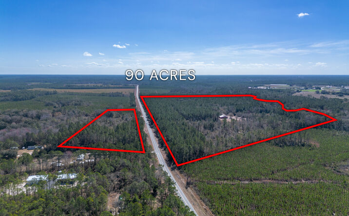 Pictures of Land, Multifamily property located at 12321 GA-185, Saint George, GA 31562 for sales - image #1