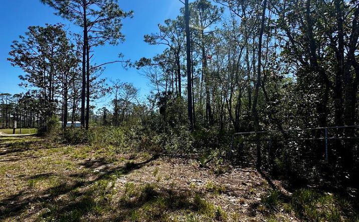Pictures of Land property located at NW Fifth Ave, Steinhatchee, FL 32359 for sales - image #1