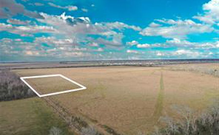 Pictures of Land property located at TBD Boswick, Liverpool, TX 77577 for sales - image #1