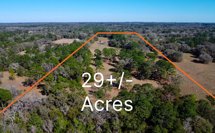 Pictures of Land property located at 10550 NW 115th Ave, Reddick, FL 32686 for sales - image #1