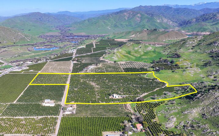 Pictures of Land property located at 32204 Rd 248, Lemon Cove, CA 93244 for sales - image #1