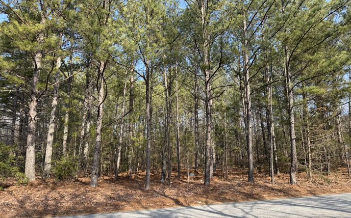 Pictures of Land property located at Carnes Dr, Fayetteville, GA 30214 for sales - image #1