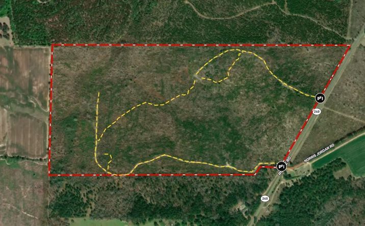 Pictures of Land property located at 130.518 ac Ronnie Road, Buena Vista, USA 31803 for sales - image #1