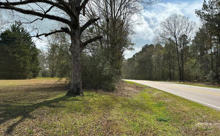 Pictures of Land property located at 4264 Highway 589, Sumrall, MS 39482 for sales - image #1