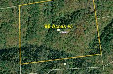 29981914