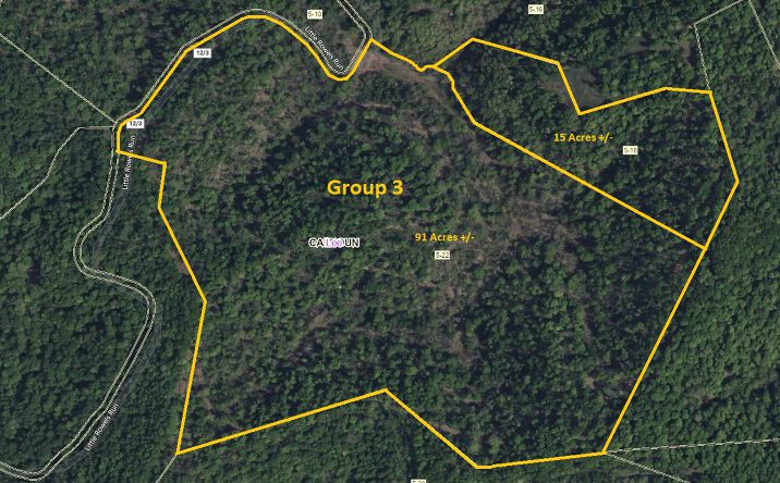 Pictures of Land property located at Parcel 22, Little Rowels Run Rd, Creston, WV 26141 for sales - image #1