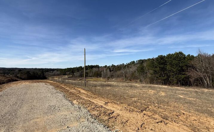 Pictures of Land property located at County Rd 431, Lindale, TX 75771 for sales - image #1