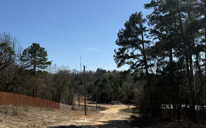 Pictures of Land property located at Tract #5 County Road 431, Lindale, TX 75771 for sales - image #1
