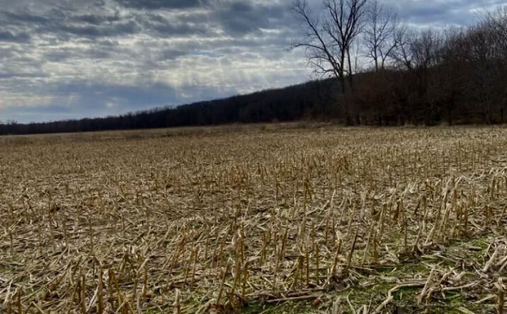 Pictures of Land, Special Purpose property located at 1489 E 2723rd Lane, Clayton, IL 62324 for sales - image #1