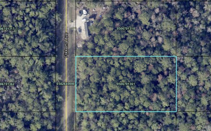 Pictures of Land property located at 10530 Flikkema Ave, Hastings, FL 32145 for sales - image #1