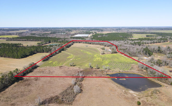 Pictures of Land property located at 1685 Union Hill Rd, Pelham, GA 31779 for sales - image #1
