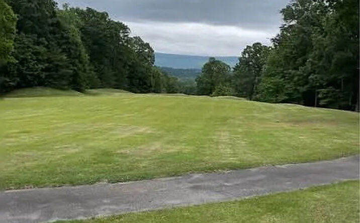 Pictures of Land, Multifamily property located at 21551 US-127, Dunlap, TN 37327 for sales - image #1
