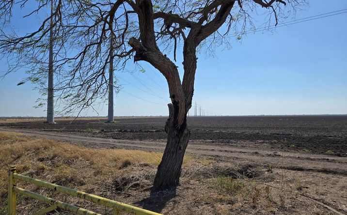 Pictures of Land property located at Off Gamble Rd, San Benito, TX 78006 for sales - image #1