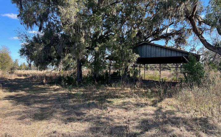 Pictures of Land property located at 2351 NE Hwy 41, Williston, FL 32696 for sales - image #1