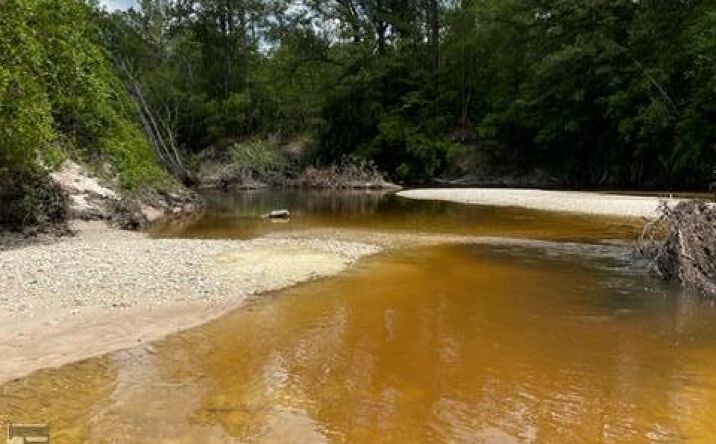 Pictures of Land, Special Purpose property located at Four Feathers Ranch Road, Poplarville, MS 39470 for sales - image #1