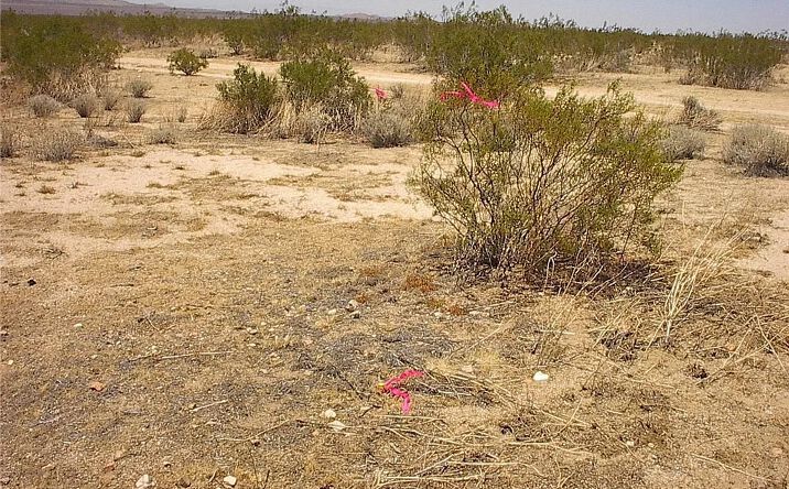 Pictures of Land property located at 0 Cherry Rd, Adelanto, CA 92301 for sales - image #1