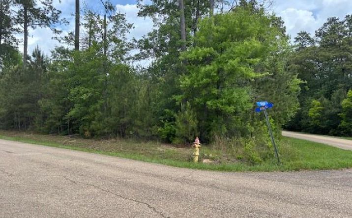 Pictures of Land property located at N 12th St, Covington, LA 70433 for sales - image #1