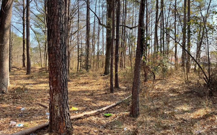 Pictures of Land property located at US-29, Lilburn, GA 30047 for sales - image #1
