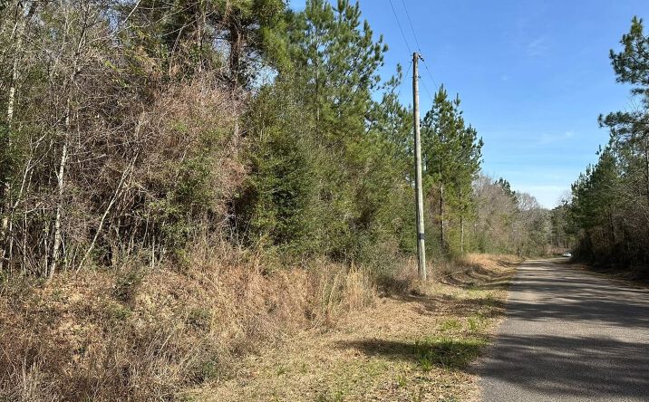 Pictures of Land property located at 0 Pump Branch Road, Wiggins, MS 39577 for sales - image #1