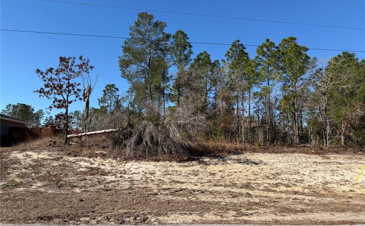 Pictures of Land property located at Sw 135th Street Road Lot 12, Ocala, FL 34473 for sales - image #1